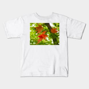 Colourful Leaves Kids T-Shirt